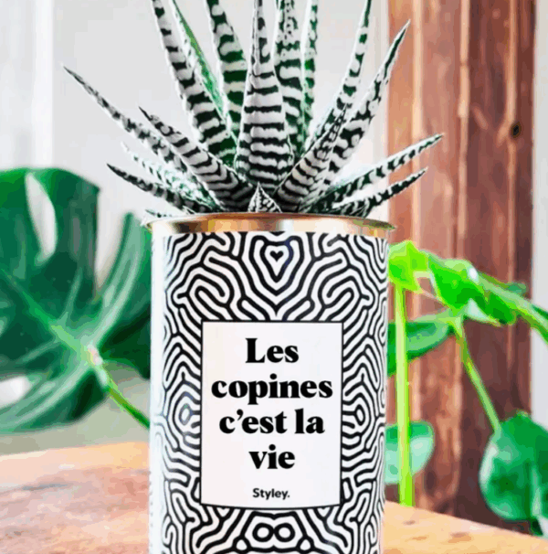 Plante_copines