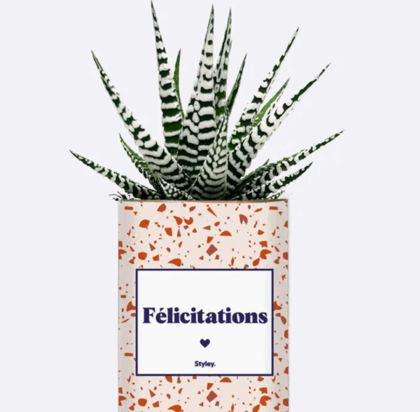 Plante_félicitations