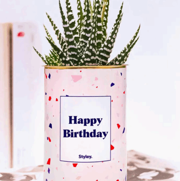Plante_happybirthday