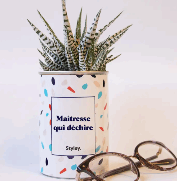 Plante_maitresse