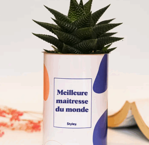 Plante_maitressemonde