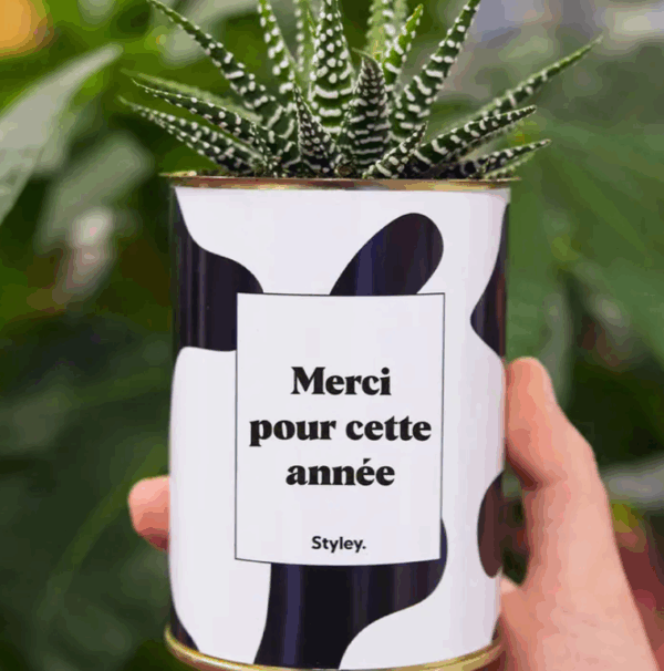 Plante_merciannee