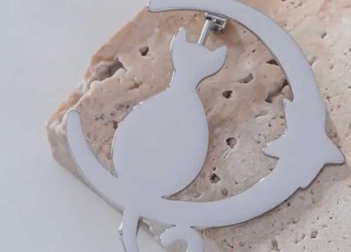 Broche_chatargente