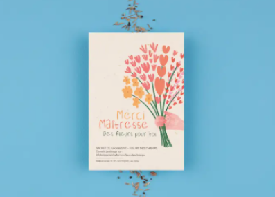 Graines_Maîtresse