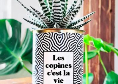 Plante_copines