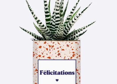 Plante_félicitations