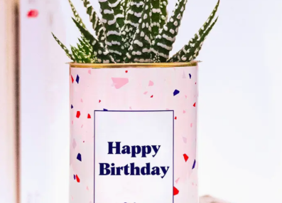 Plante_happybirthday