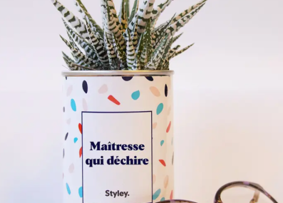 Plante_maitresse