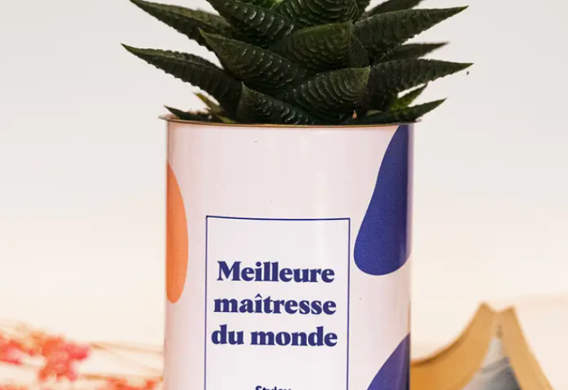 Plante_maitressemonde