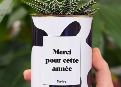 Plante_merciannee