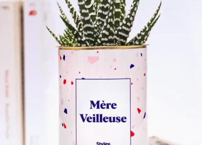 Plante_mereveilleuse