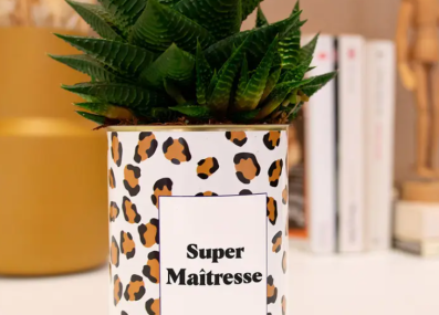 Plante_supermaitresse