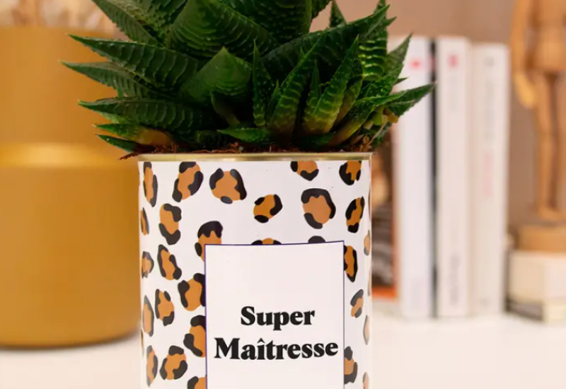 Plante_supermaitresse